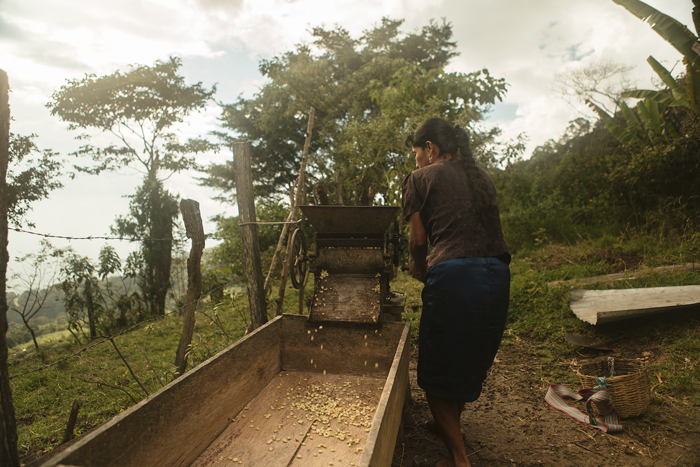 Coffee mexico profoto Canon strobist portrait reportage Documentary  discover Workers