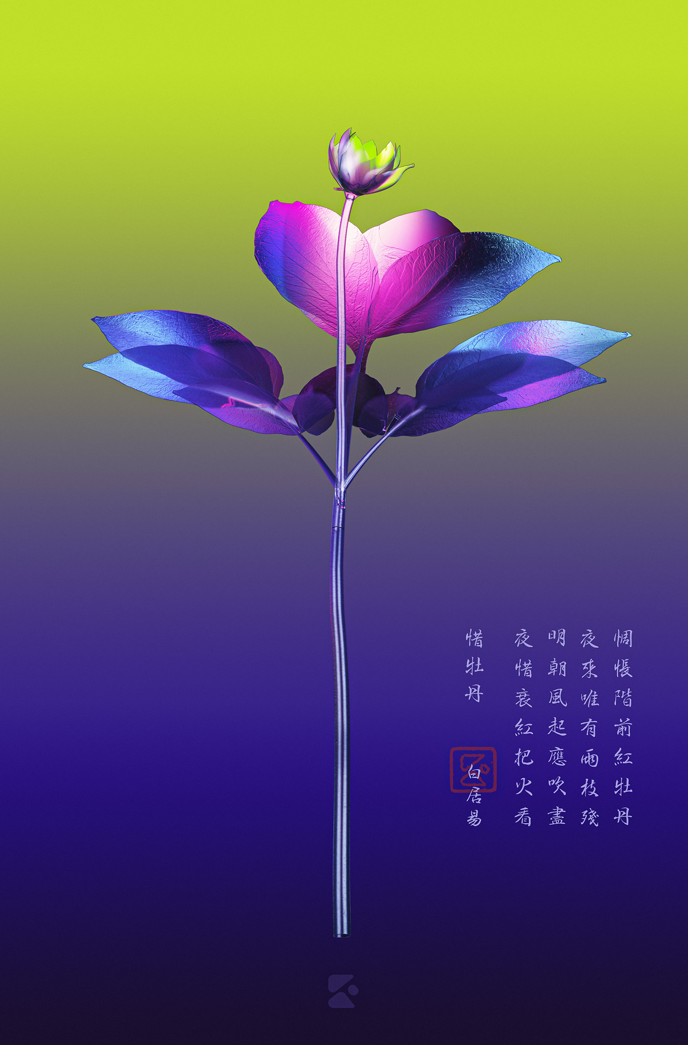 3D c4d color vector art Flowers graphic design  ILLUSTRATION  photoshop typography  