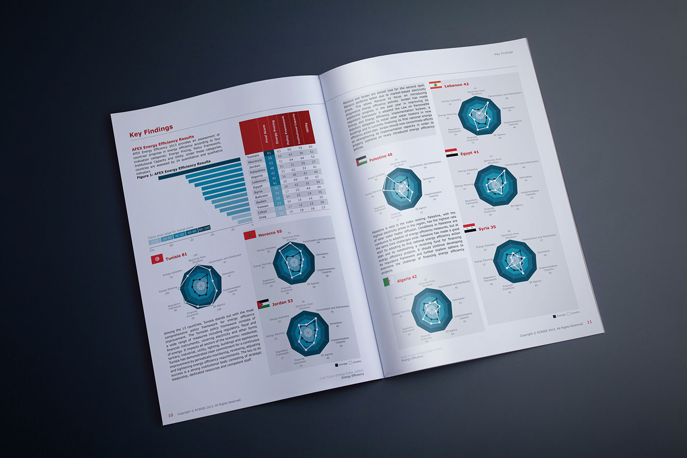 energy efficiency Layout report infographic design colors typograp piechart chart table