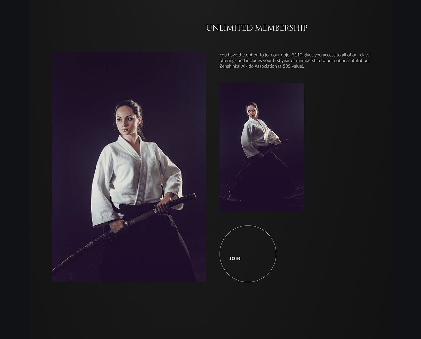aikido classes concept design school UI ux Website