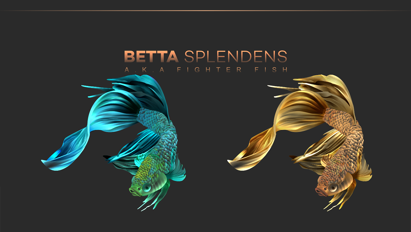 Betta environment Fighter fish fish gold colors free free wallpaper free art Free Background vector Ocean poster Nature wacom