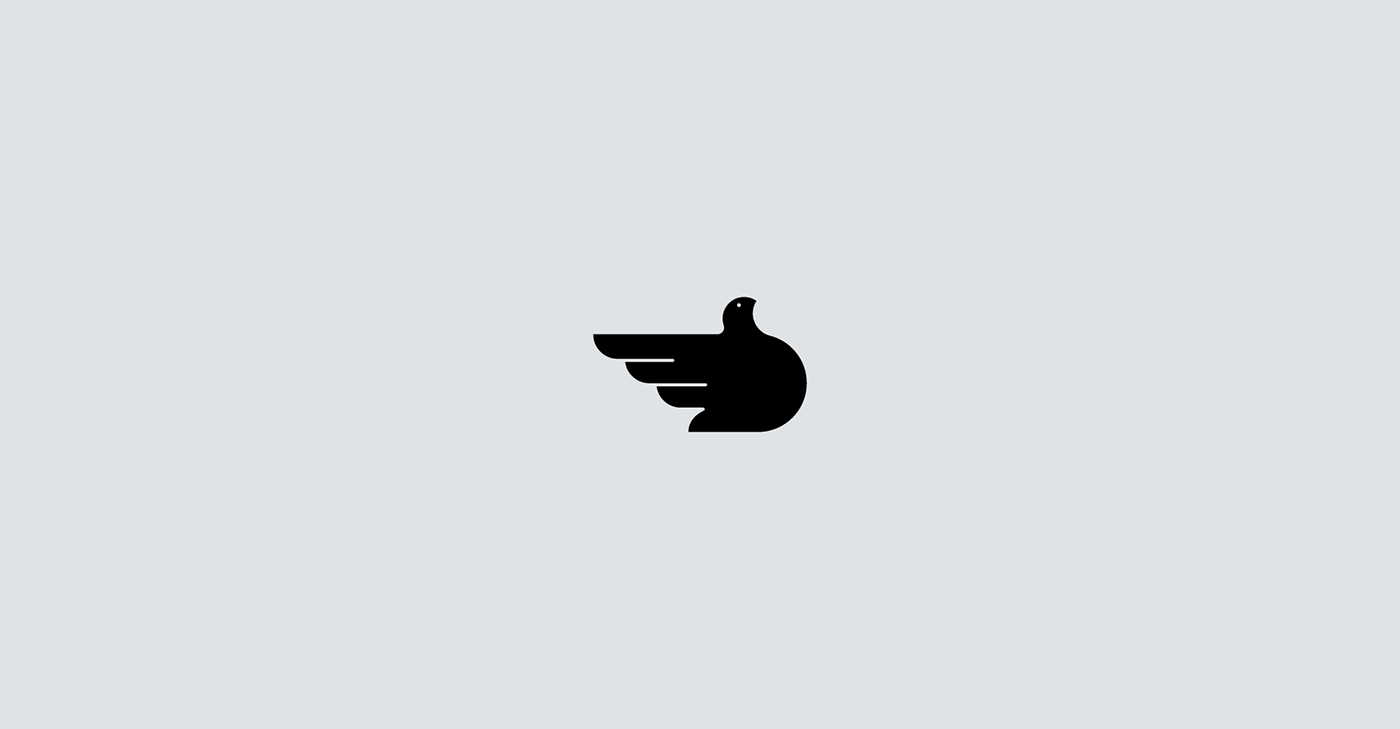 Logo Design icon design  logo owl lion bird Logotype eagle parot water