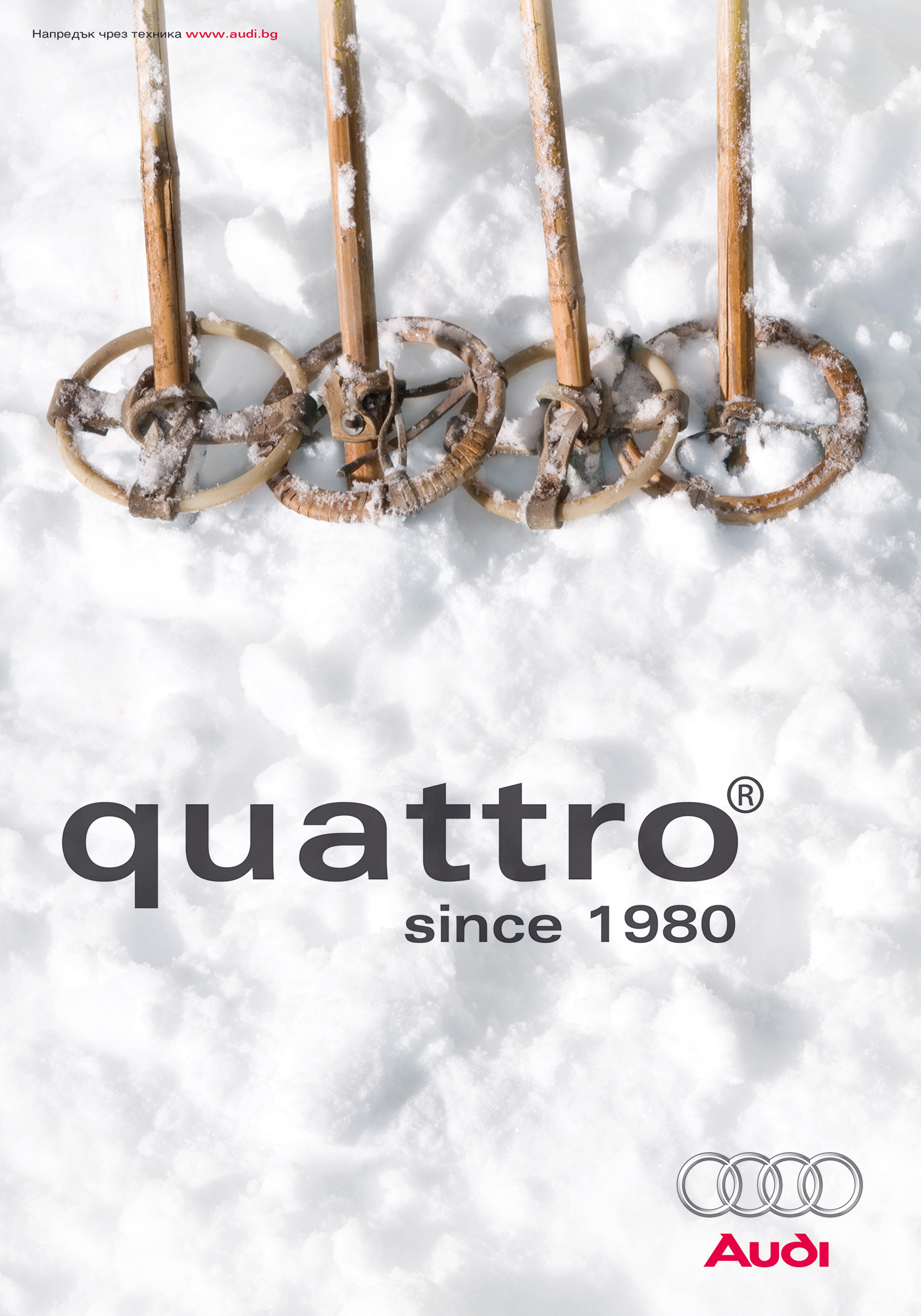 Audi quattro® stick ski stick Ski winter snow