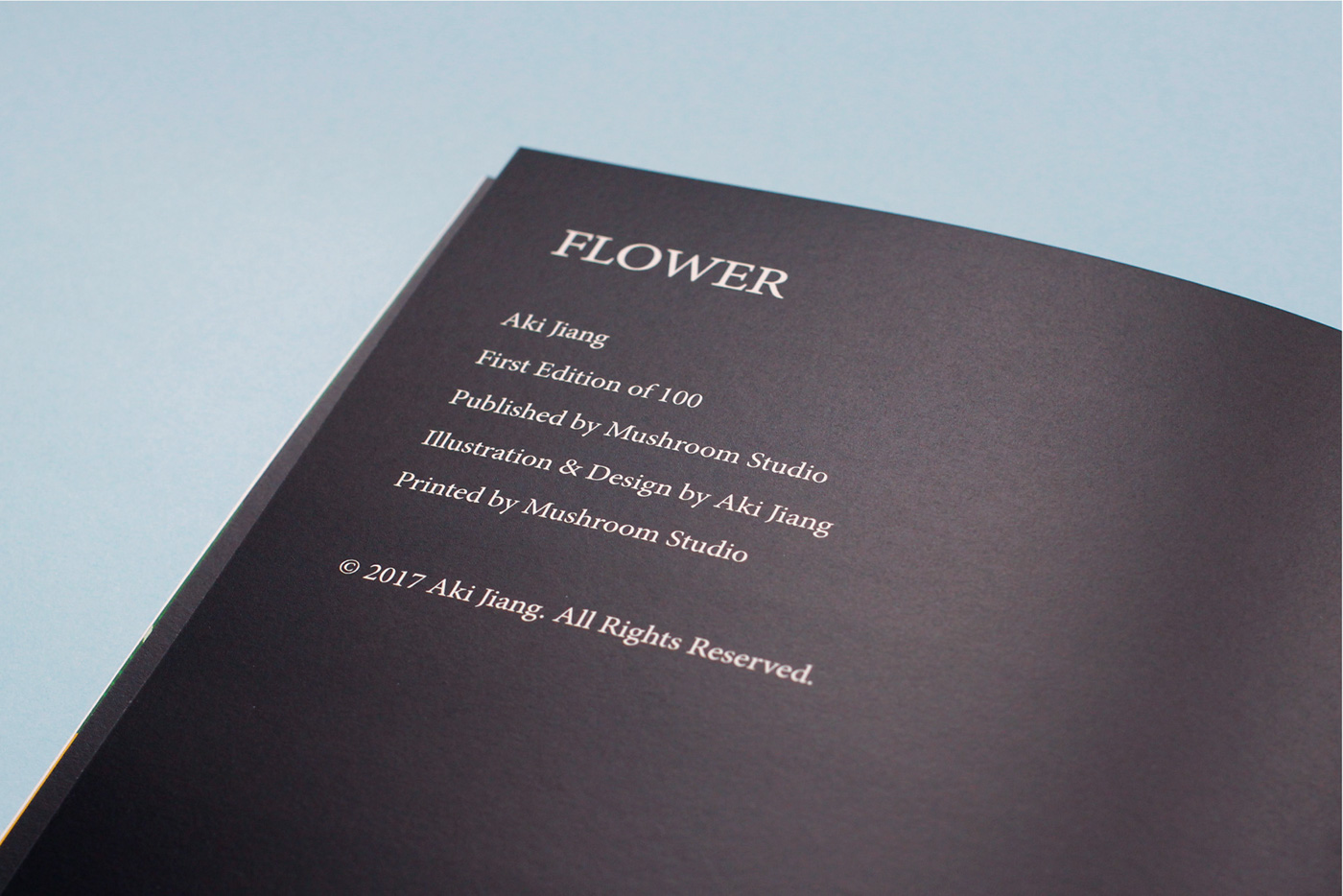 Zine  Aki Illustrator design paper print ILLUSTRATION  self-pubilshing flower Plant