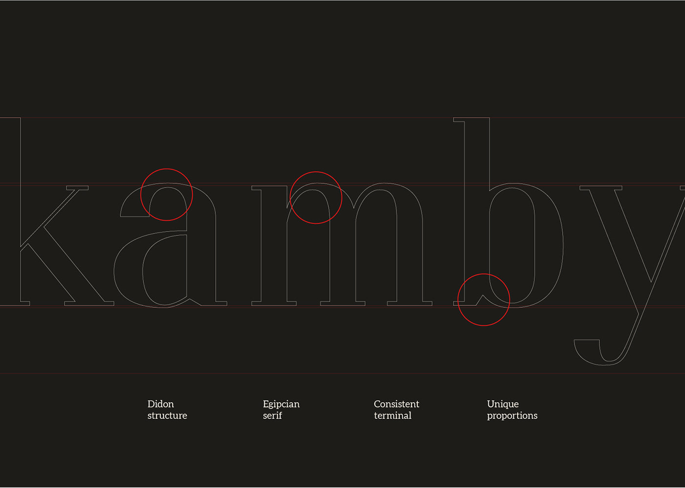 design 36daysoftype type design Typeface Didone director cinematography Illustrator