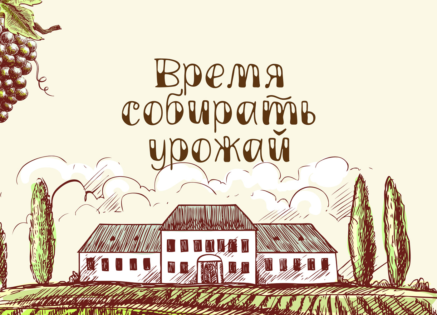 text Шрифты Cyrillic Cyrillic font design font fonts кириллица free Cyrillic скачать шрифт