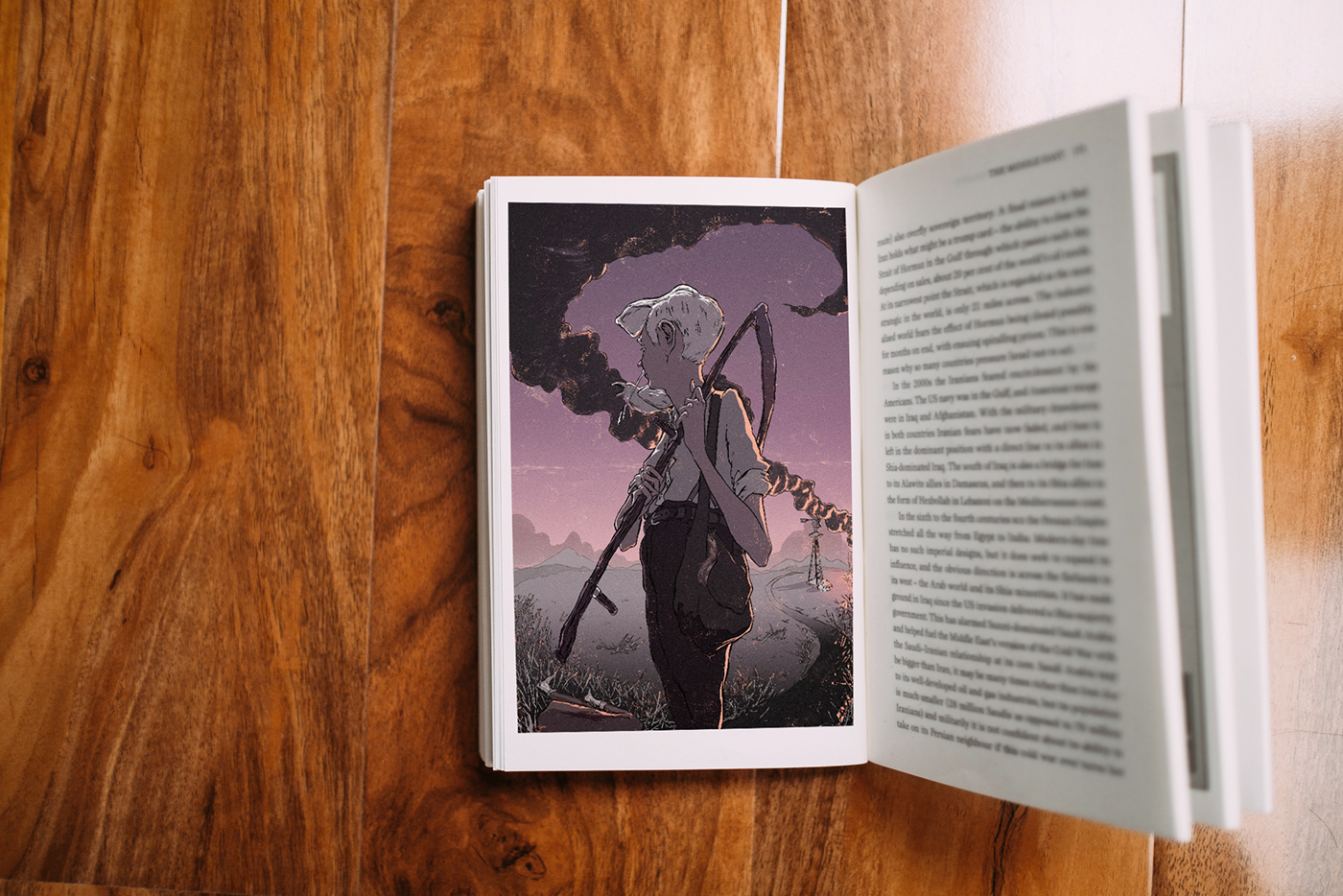 crow scythe grim reaper novel book cover fiction adult fiction book illustration fantasy DUSK