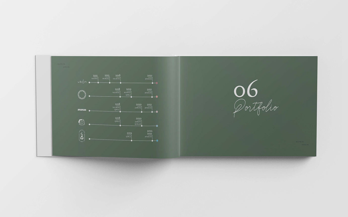annual report Brand Portfolio brochure corporate corporate portfolio editorial design  identity magazine
