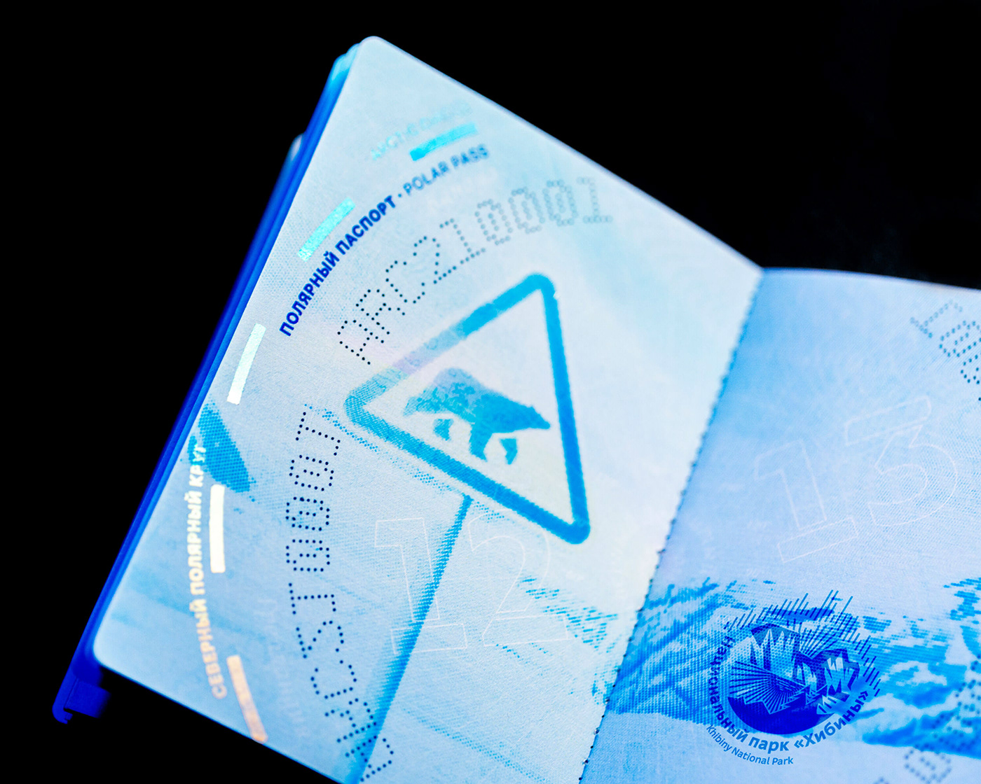 certificate ID pass Passport polar Polar Pass Russia