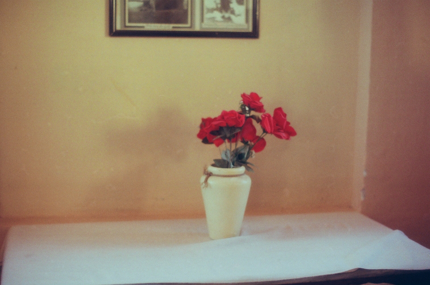 35mm analog Film   photo