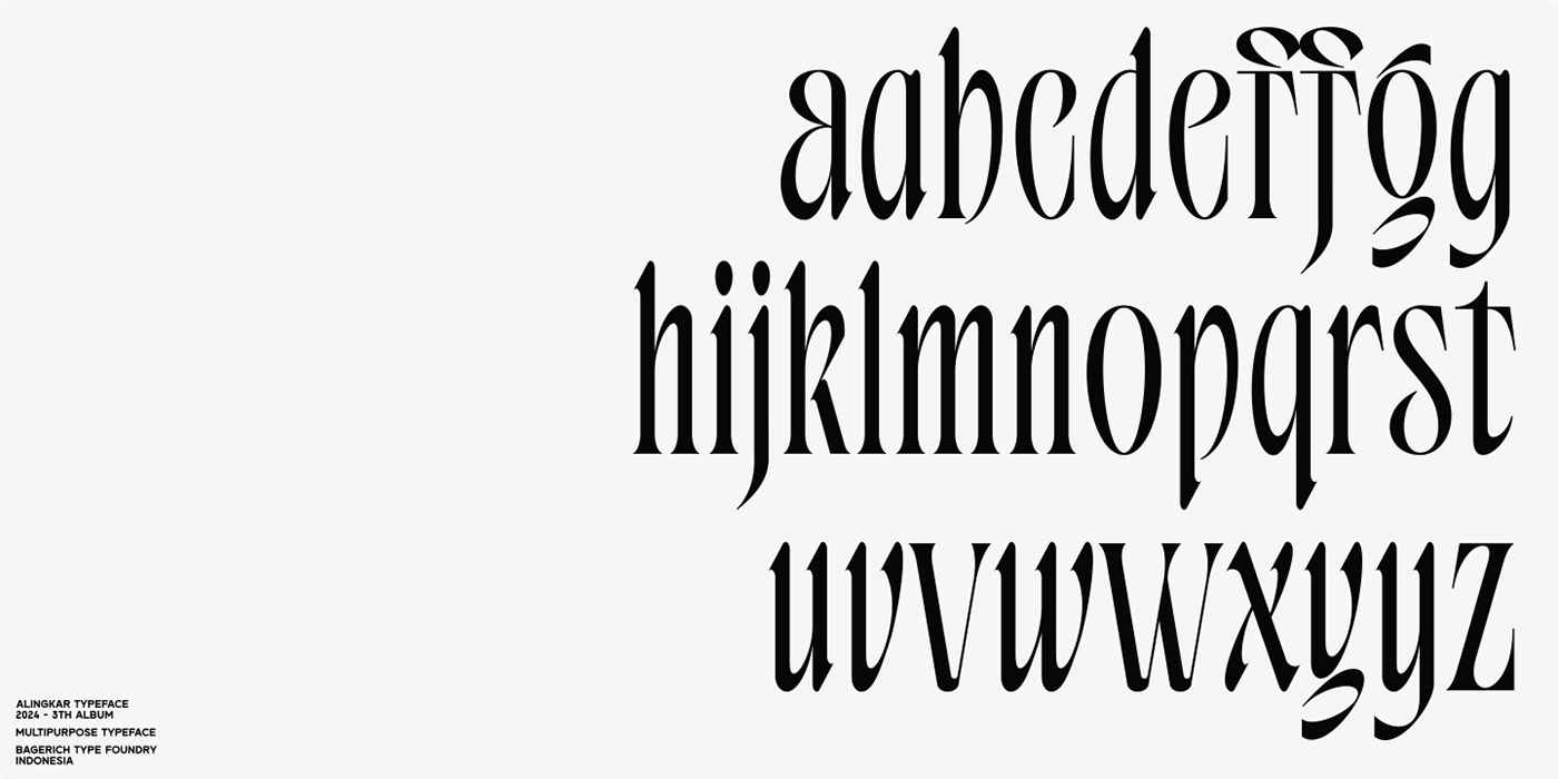 typography   Logotype Serif Font wordmark brand identity visual adobe illustrator visual identity Graphic Designer Logo Design