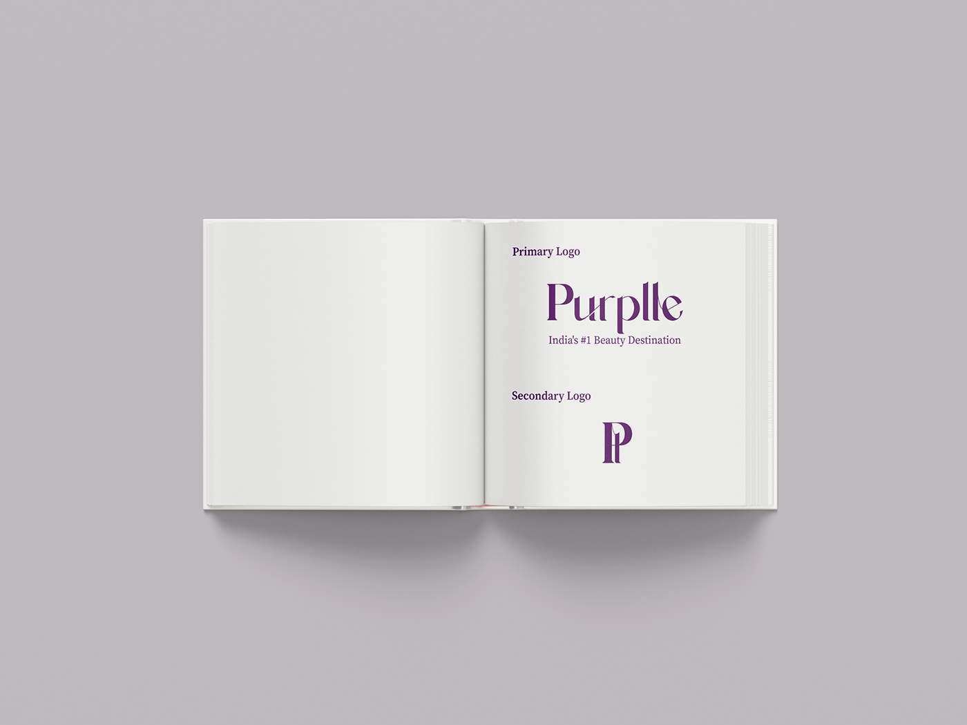 branding  Logo Design Packaging book design typography   color