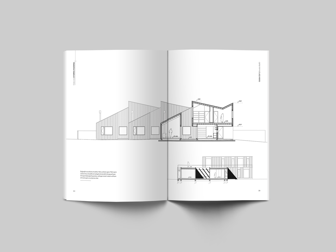 colección libro diseño editorial diseño gráfico argentina madera Pocket Book book Collection