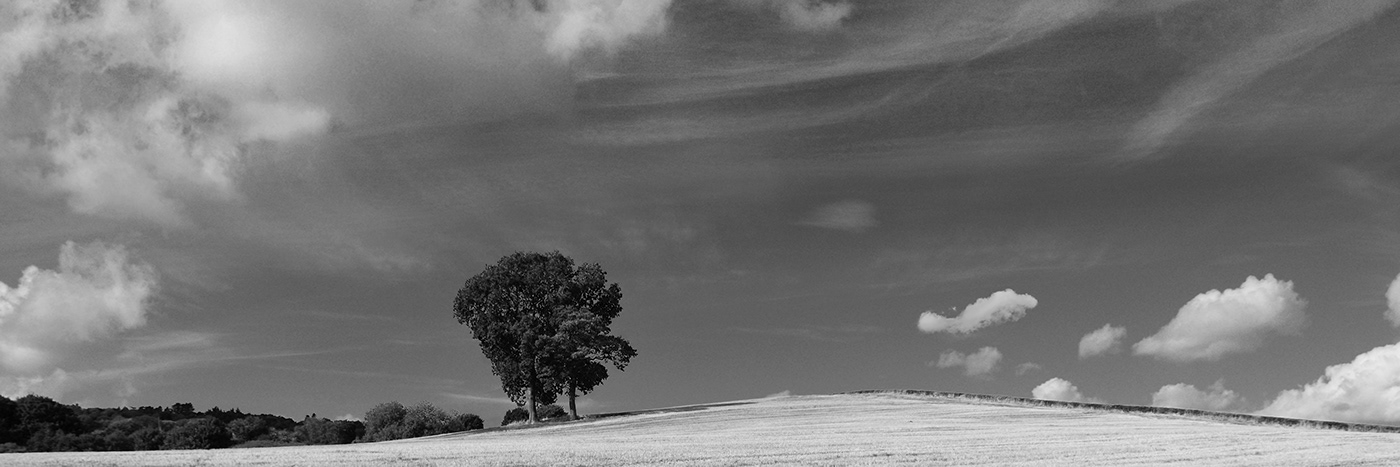 landscapes black and white
