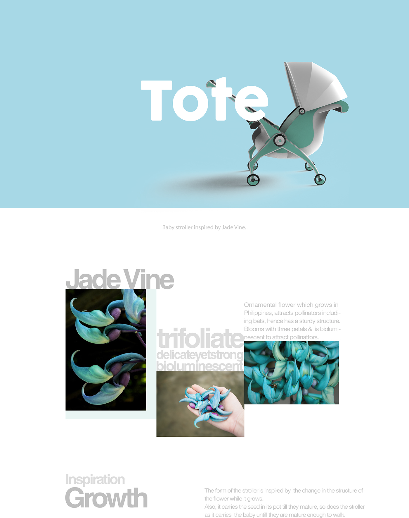 nature inspired design product design  industrial design  baby stroller perambulator baby product toy design 