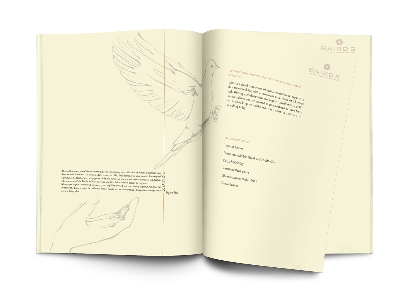 catalog design  company portfolio  Brochure design  graphic design  portfolio