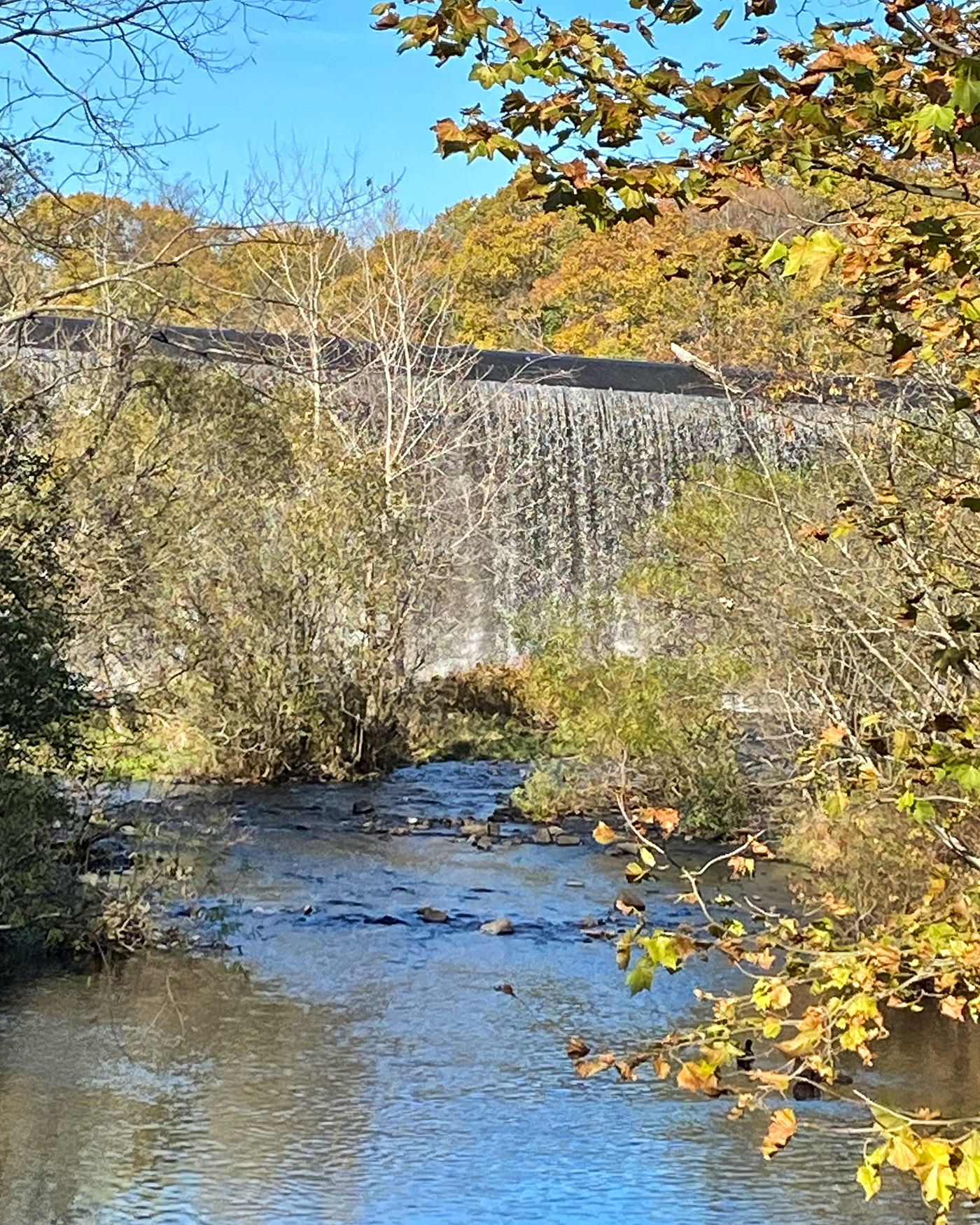 Fall Foliage Landscape river