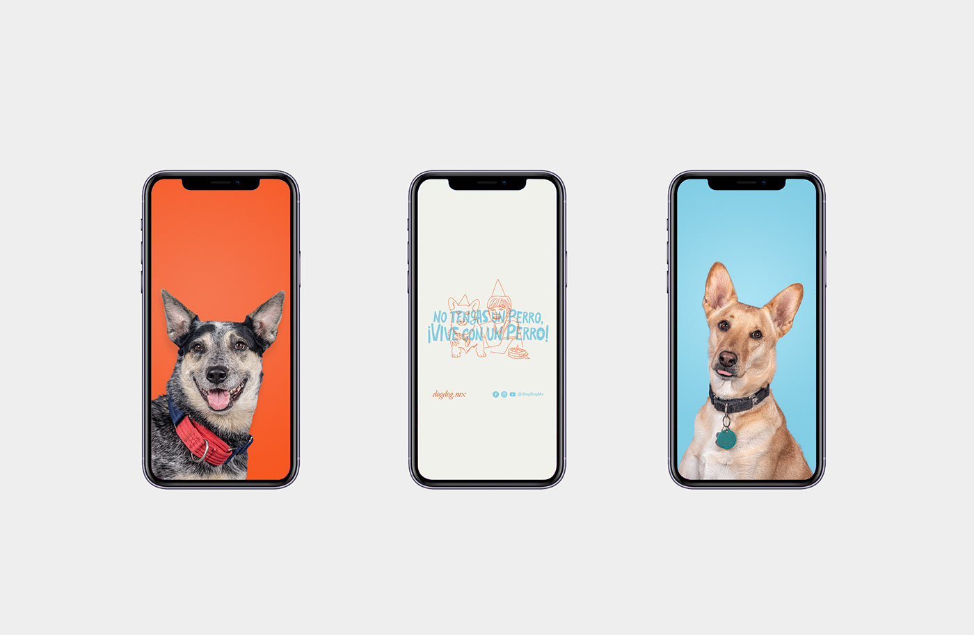 branding  Darkside design Dog Dog dog services ILLUSTRATION  Photography  social media Stationery strategy