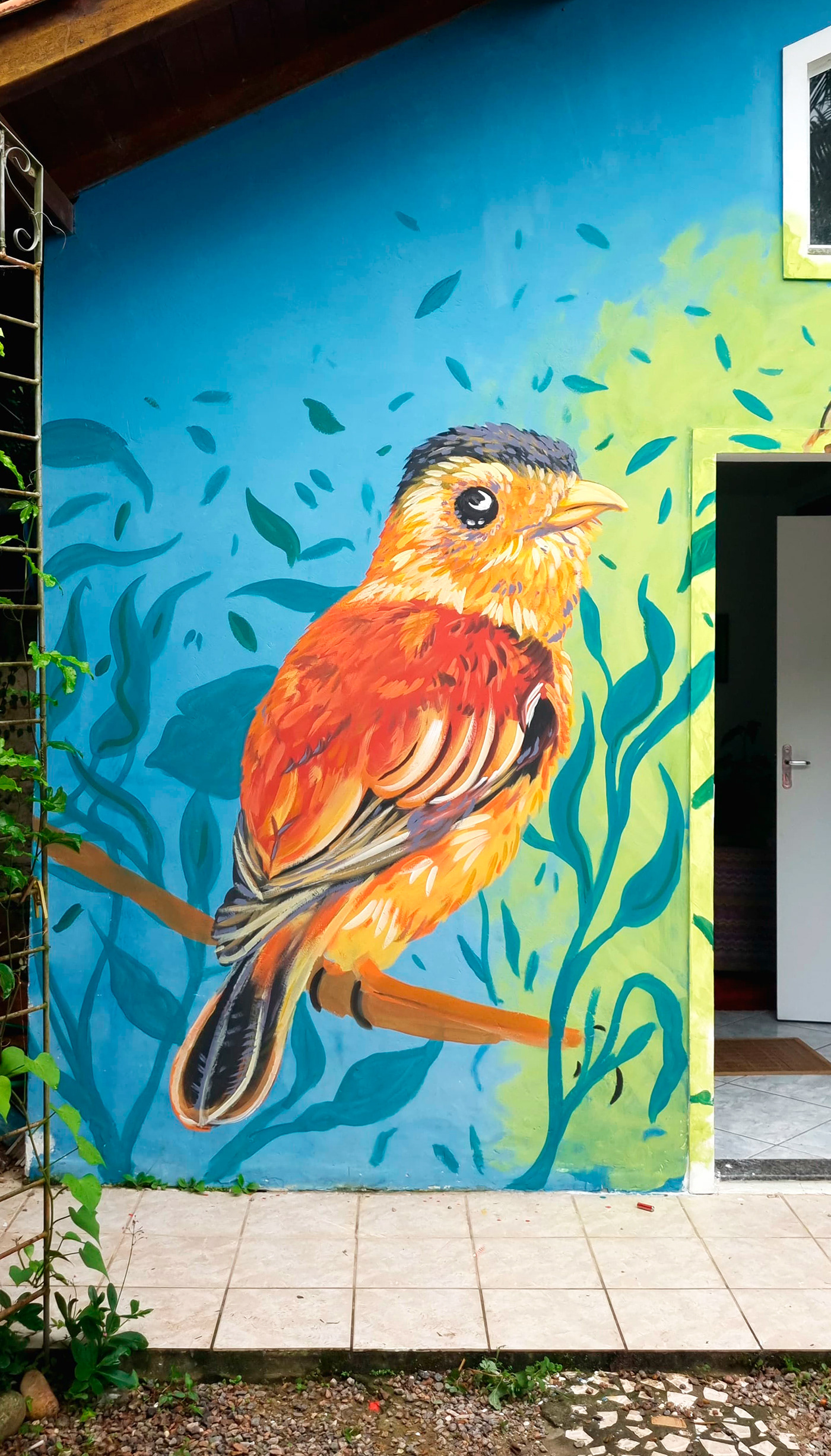 bird animal Mural painting   Graffiti mural art wall painting urban art Street Photography 