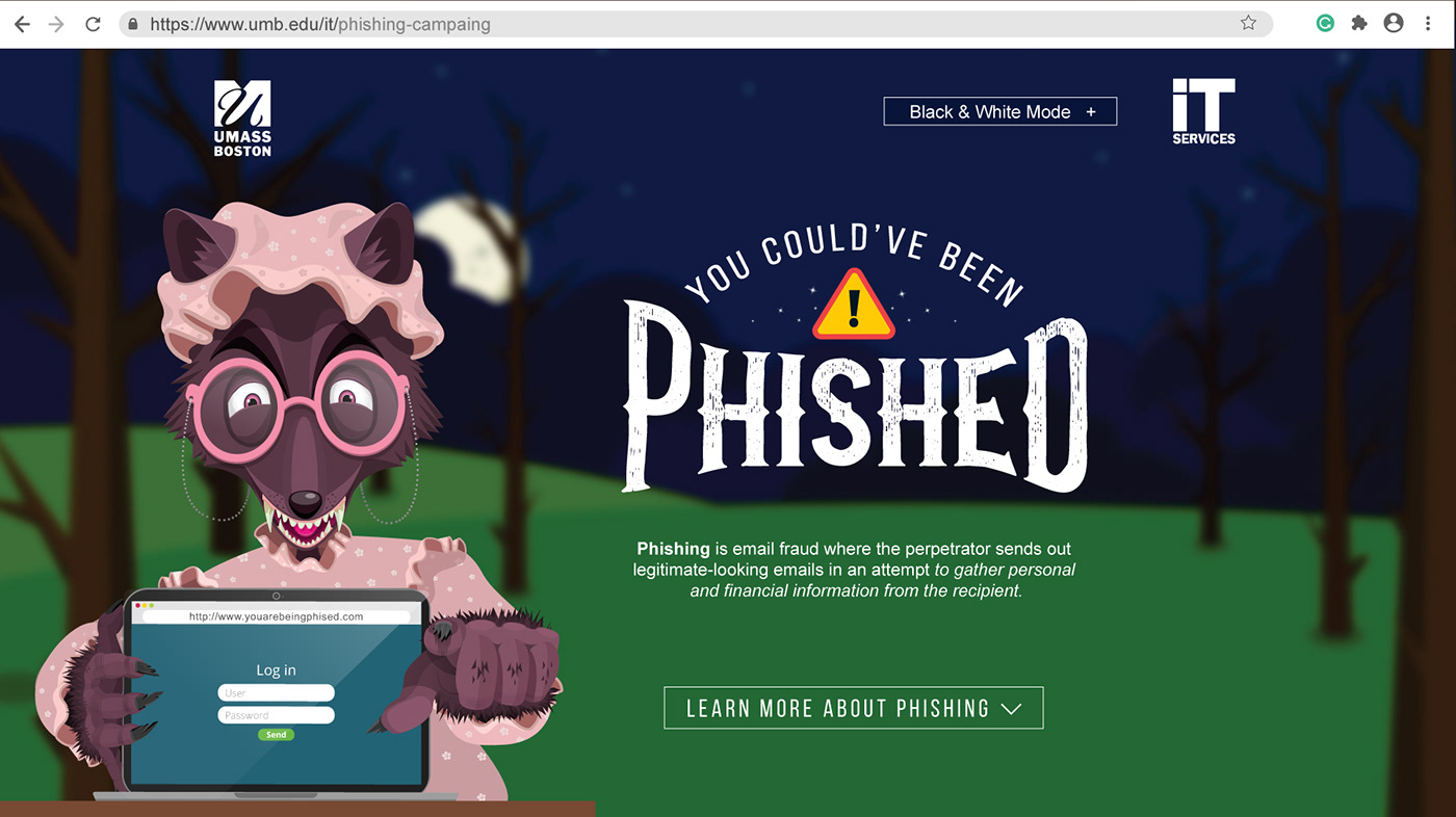 campaign Email flyer ILLUSTRATION  phishing Web Design 