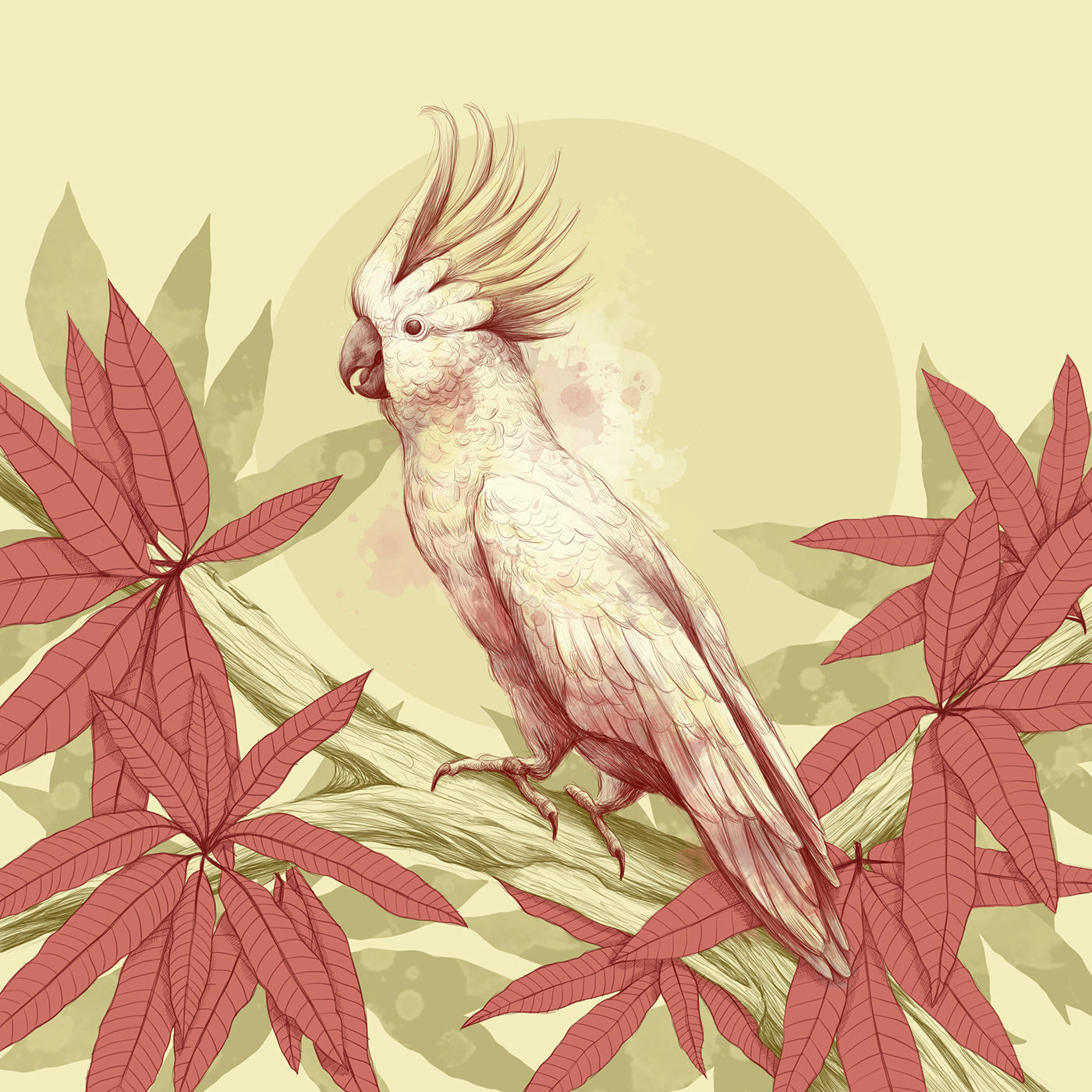 watercolor digital illustration artwork monicaldasanz dibujo Tropical floral animals birds Cockatoo
