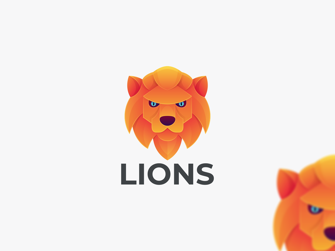 lion logo lion animal logo design brand identity Graphic Designer Logo Design visual identity Lion Coloring lion design graphic