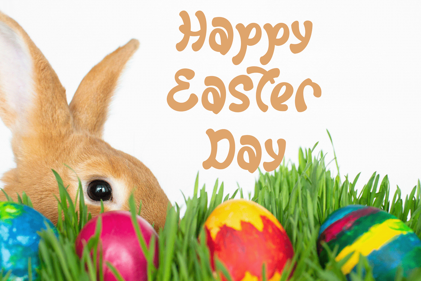 branding  bunny cartoon comic Easter funny logo Playful rabbit sticker