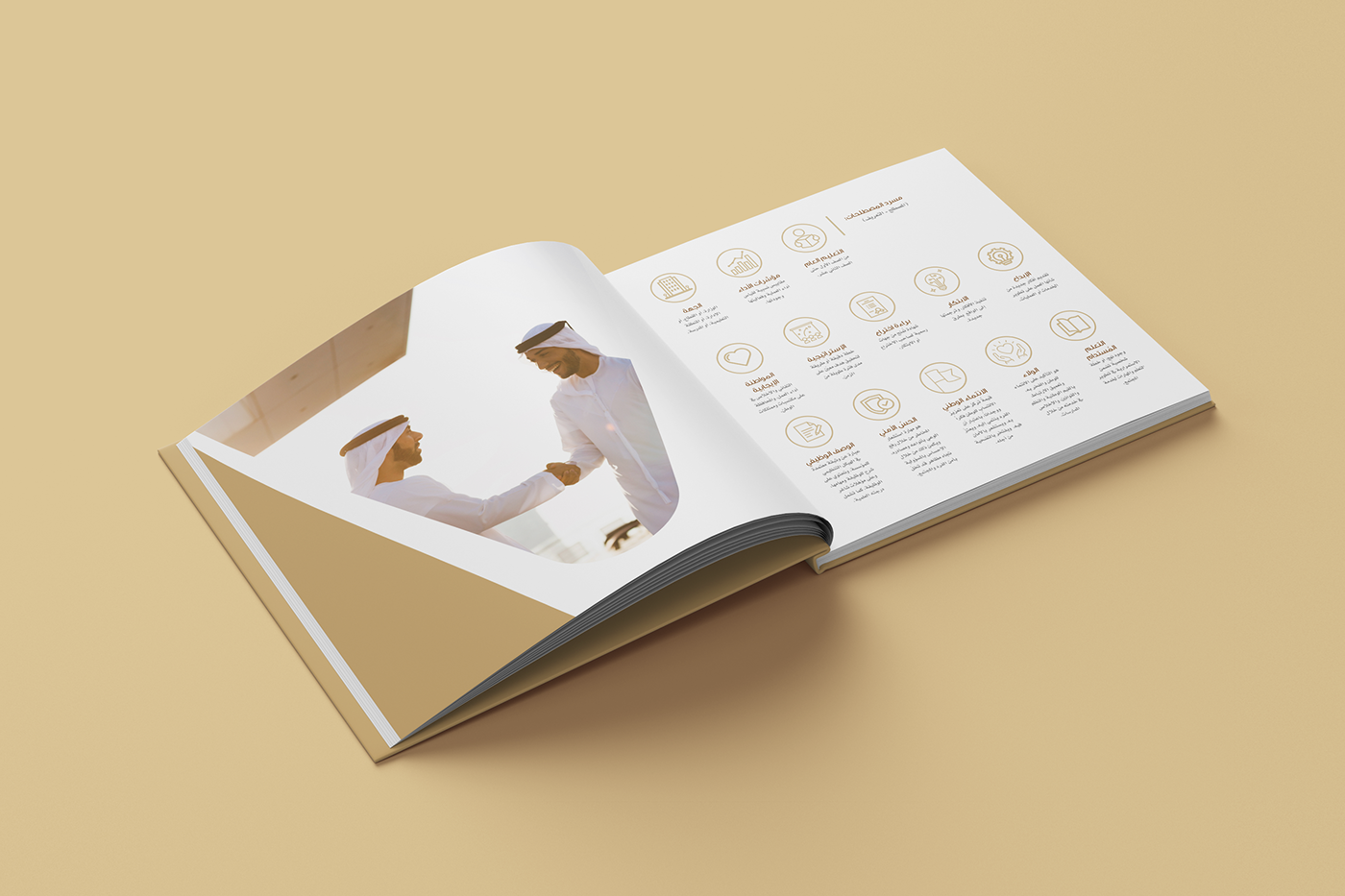book brochure company profile dubai editorial Education InDesign Layout learning
