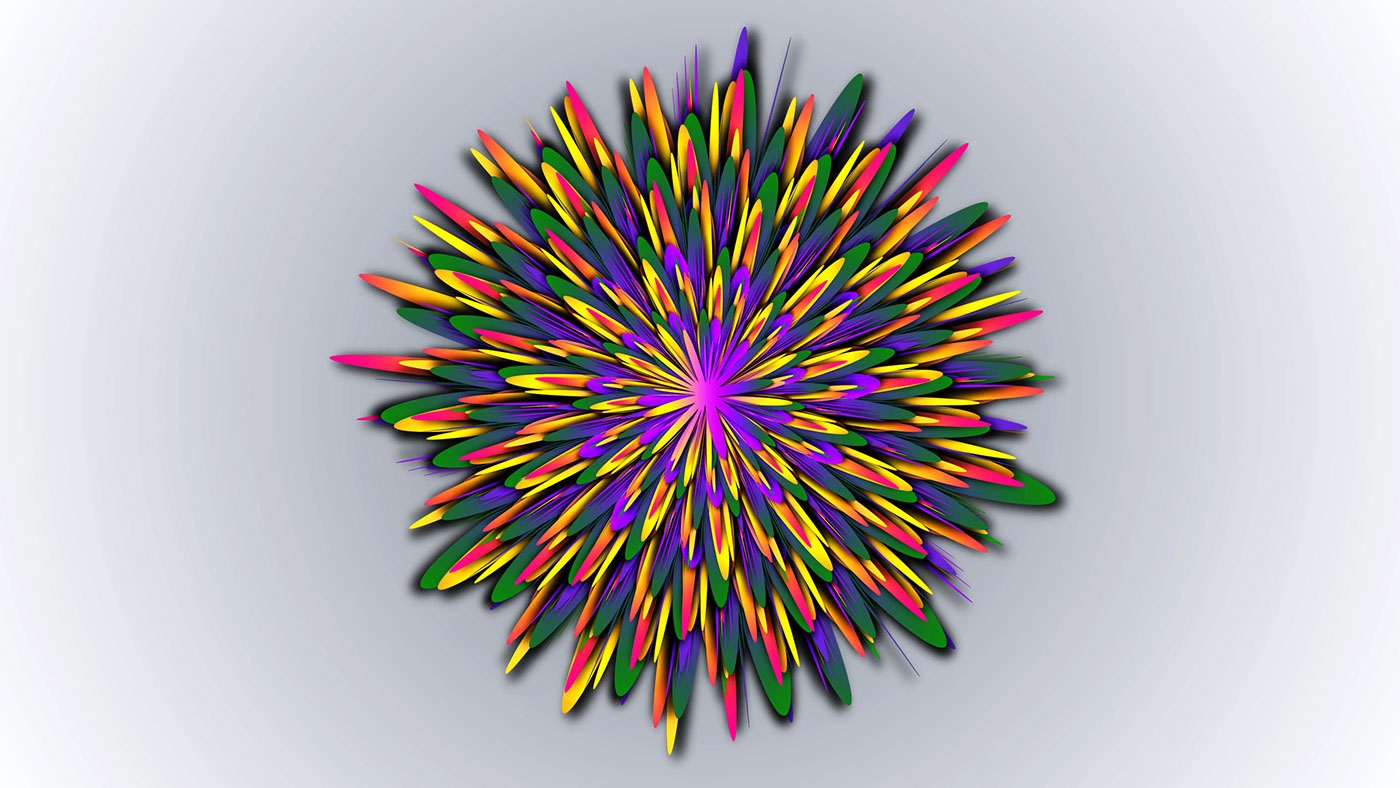 adobe illustrator Adobe Photoshop vector flower ILLUSTRATION  colorful