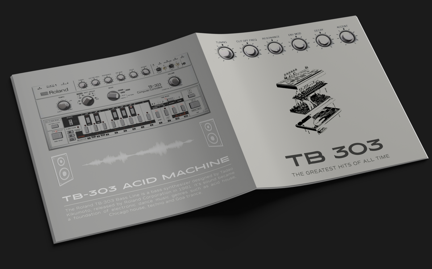 CD cover graphic design  InDesign magazine music photoshop roland tb303 techno text