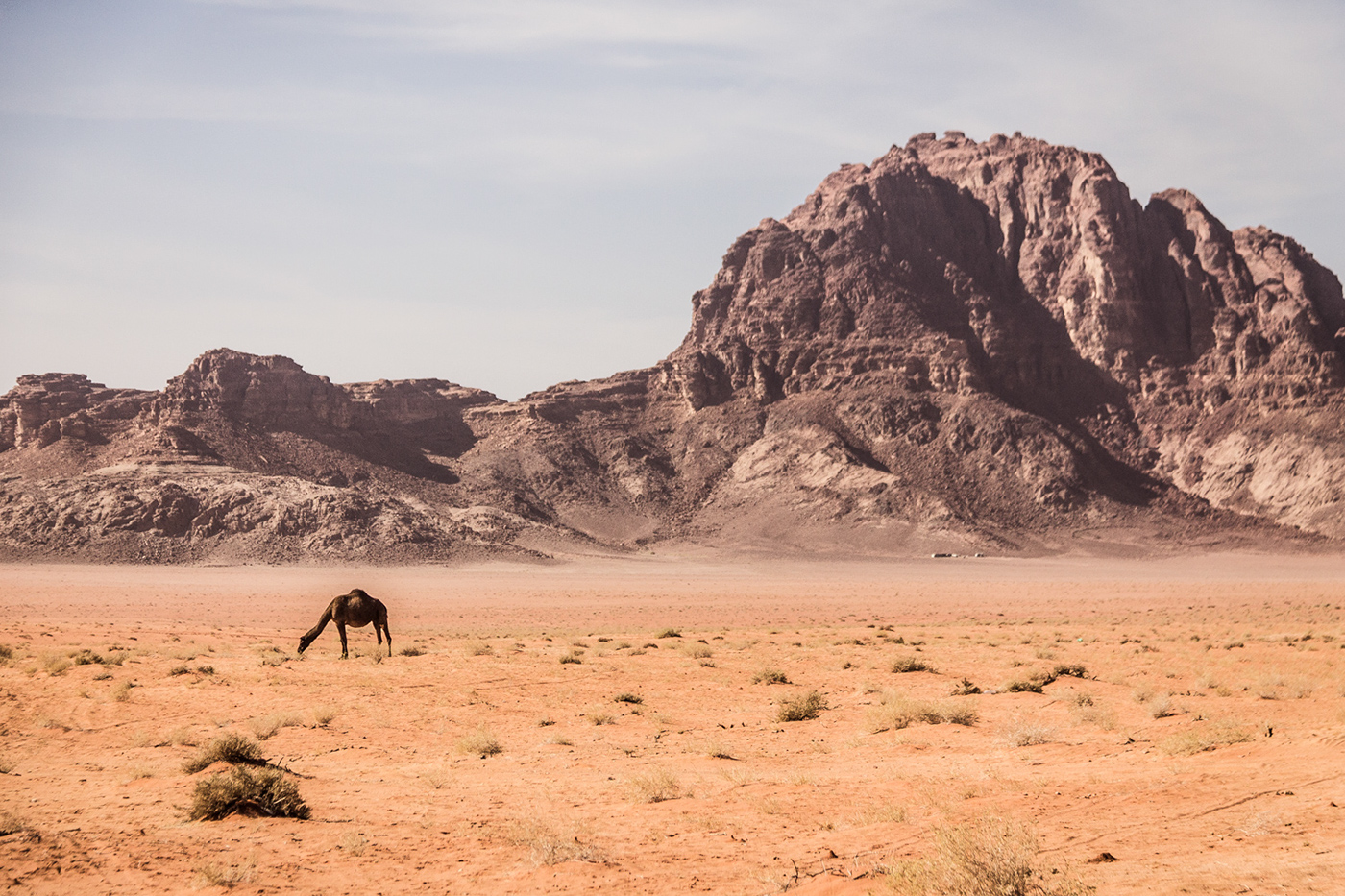 jordan hitchhiking Petra middle east desert