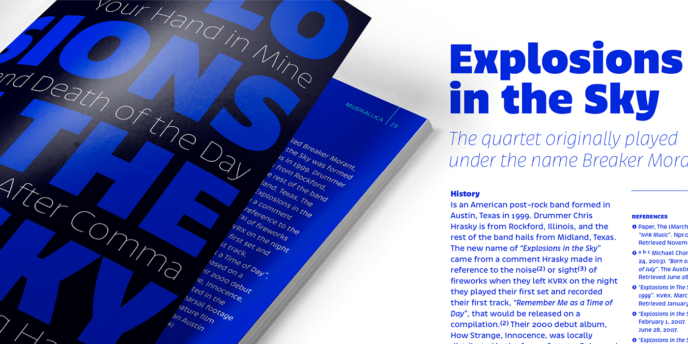 branding  editorial font logos magazines Packaging publishing   type typedesign typography  