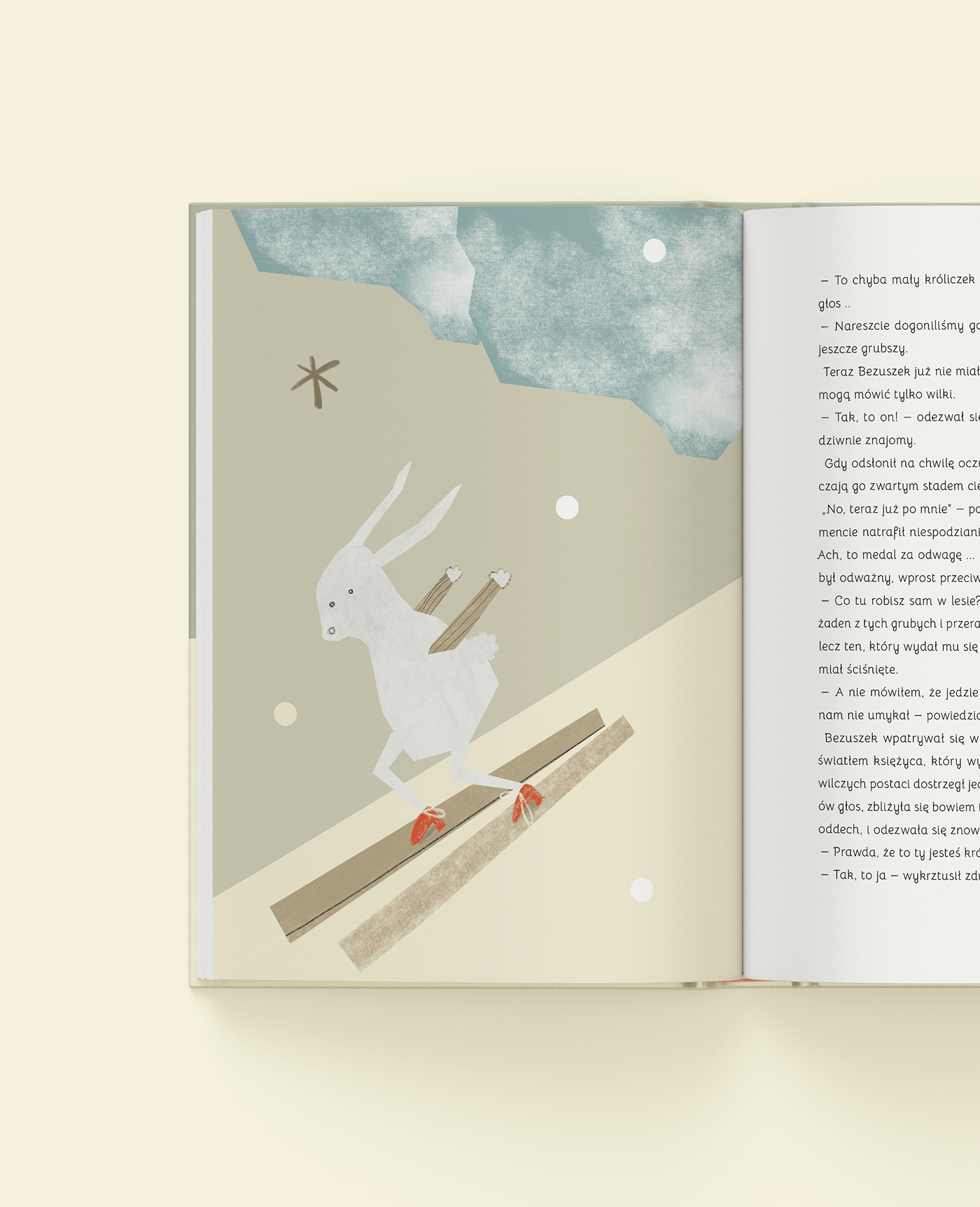 ILLUSTRATION  design book książka ilustracja children's book book cover okładka Drawing  zwierzęta