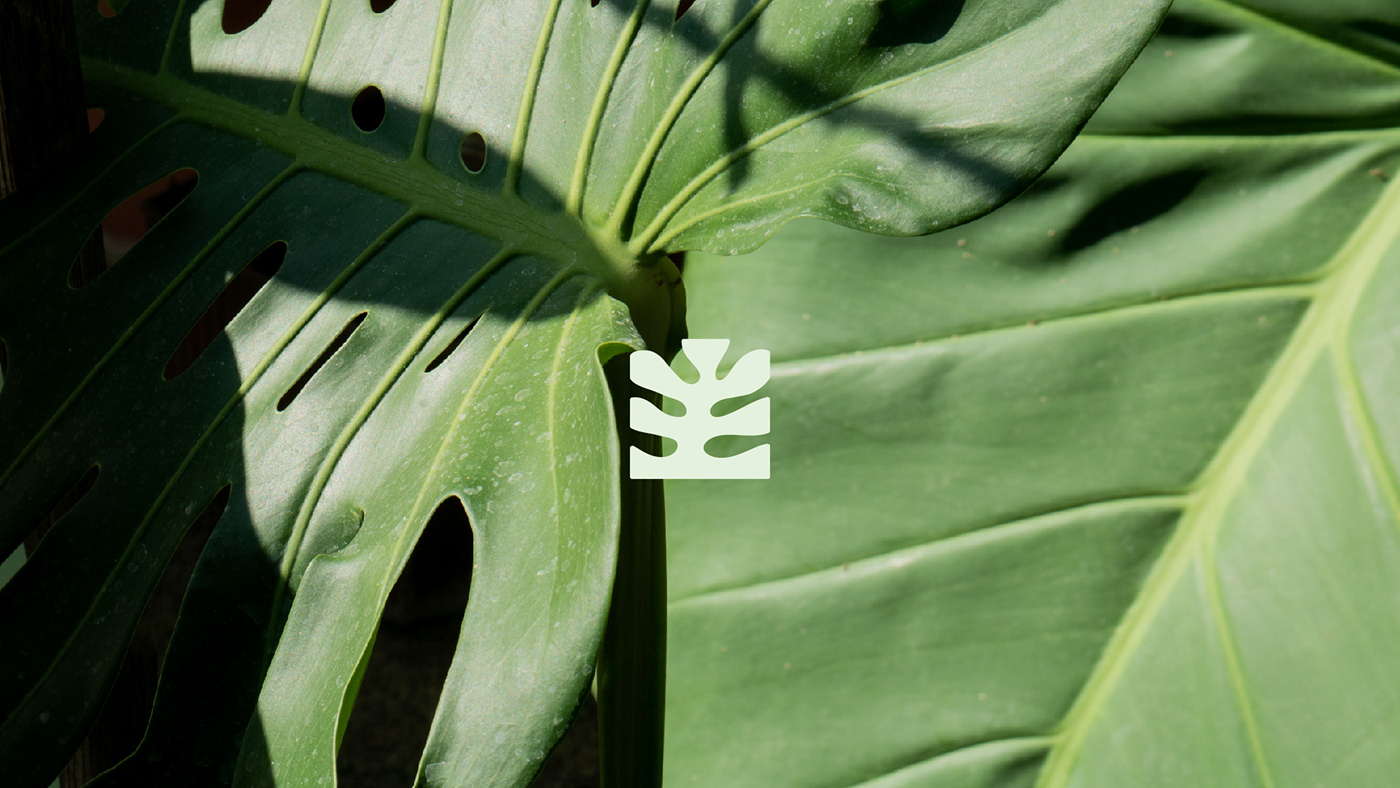 botanical Botanical garden brand branding  campaign garden identity rebranding gardening logo