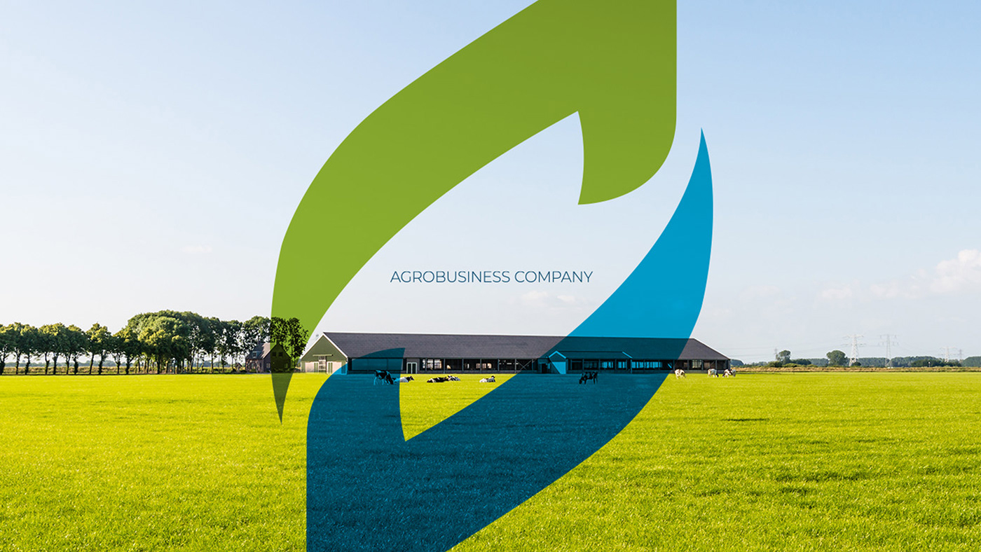 Agro agrobusiness agropecuária brand brand identity branding  farm fazenda Logo Design Logotype