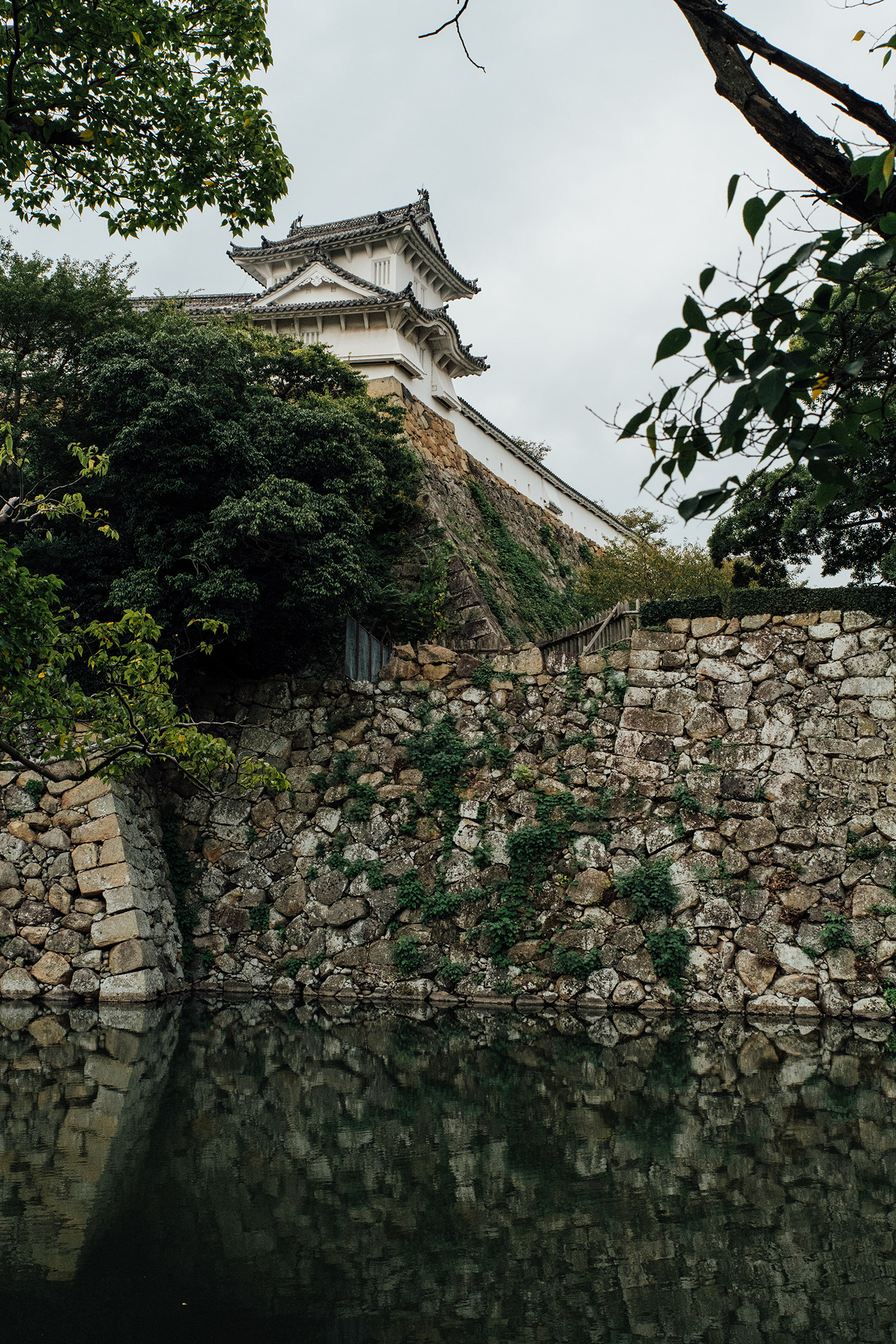 Castle city Himeji japan Nikon Photography  Street Travel 攝影 日本