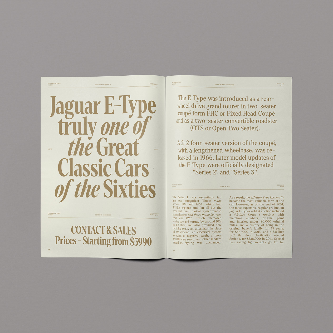 70s 80s font free identity modern Retro serif Typeface typography  