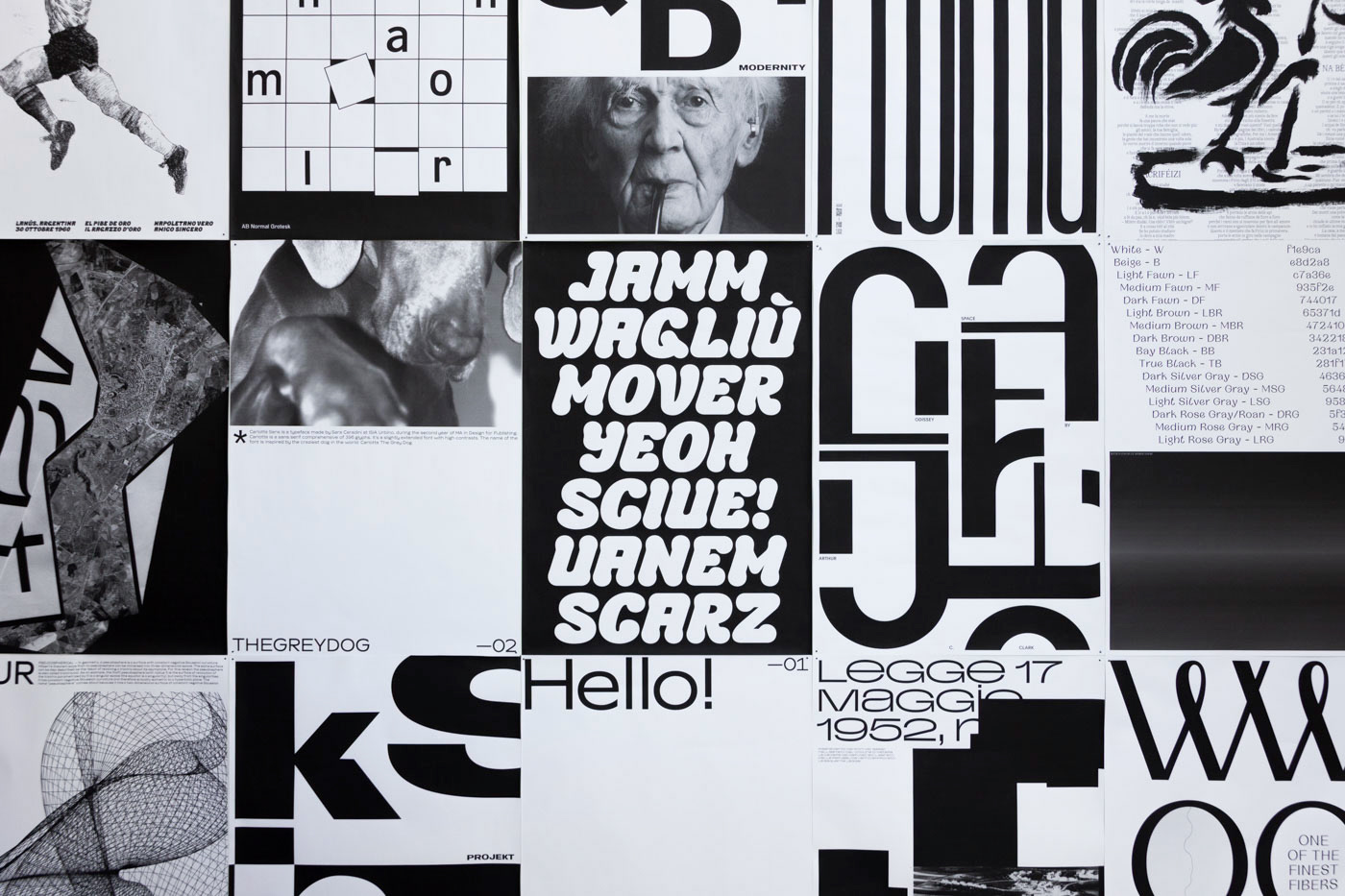book design Exhibition  font graphic isia specimen type typography   urbino