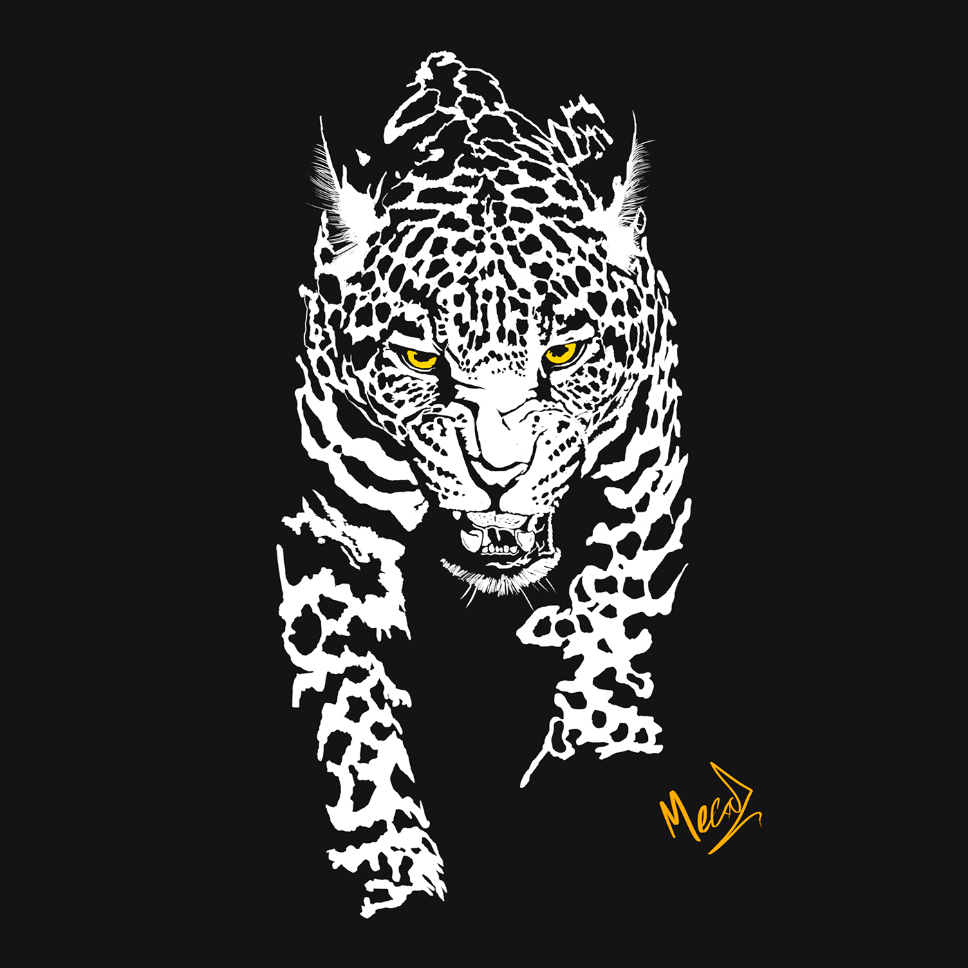 Animals & Wildlife Brazil Brazilian jaguar natureza onça onça pintada pantanal vida selvagem