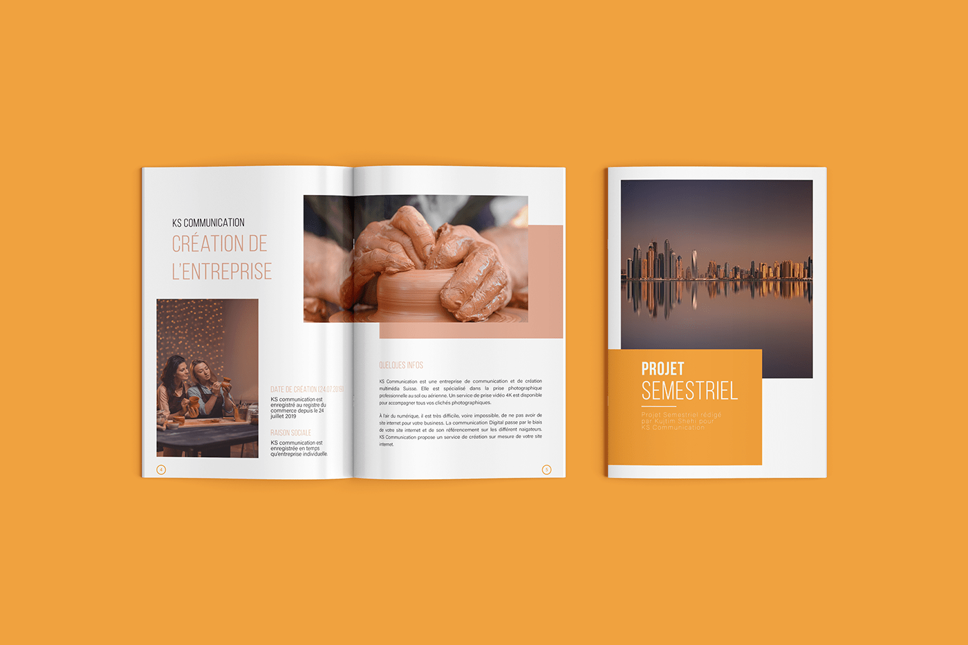 InDesign brochure magazine design entreprise business Entreprenariat projet