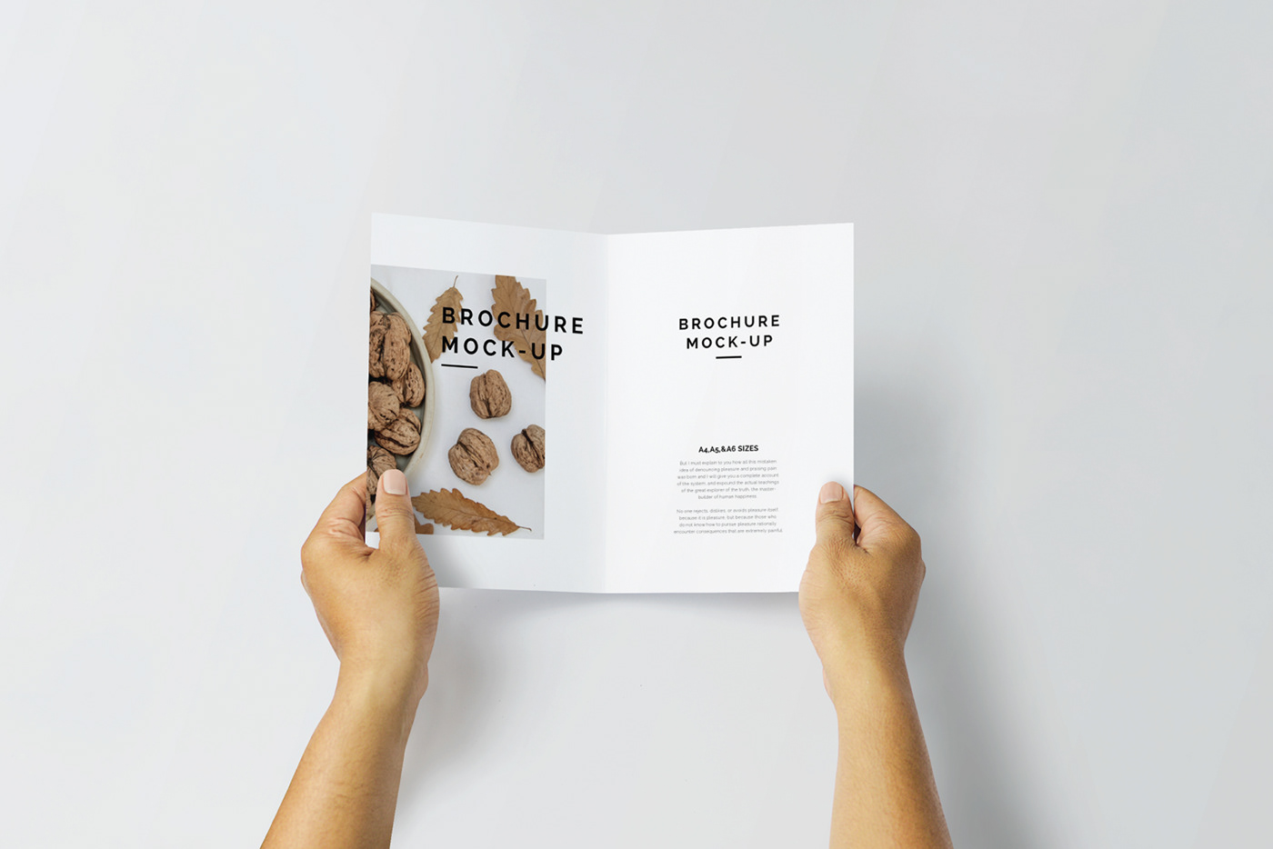brochure designer editorial Layout marketing   mock up mock-up Mockup mockups print