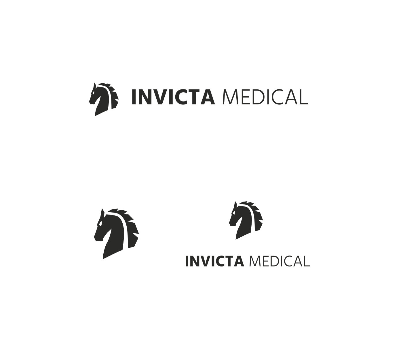 branbding logo Branding design Logo Design Horse logo horse icon medical branding