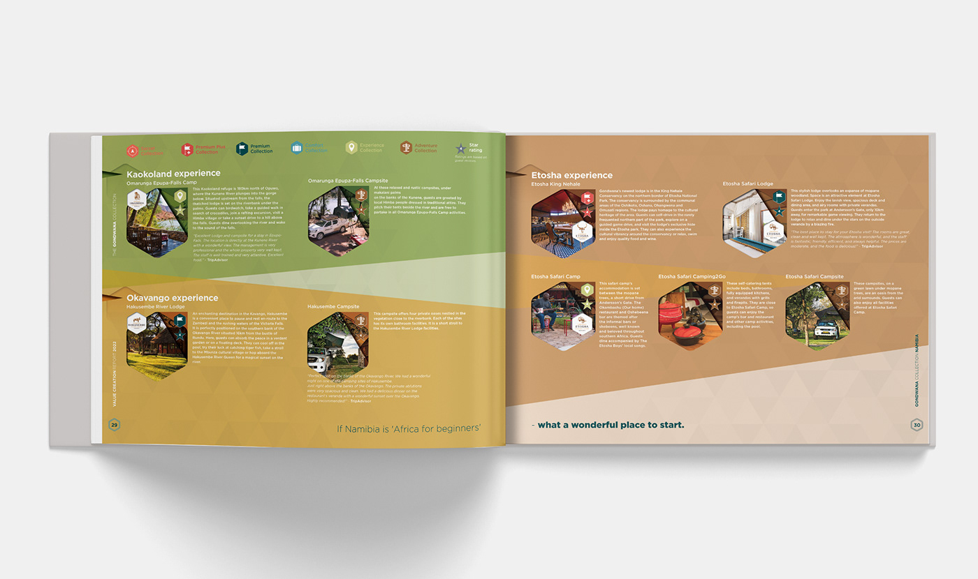 Annual Report Design Layout print