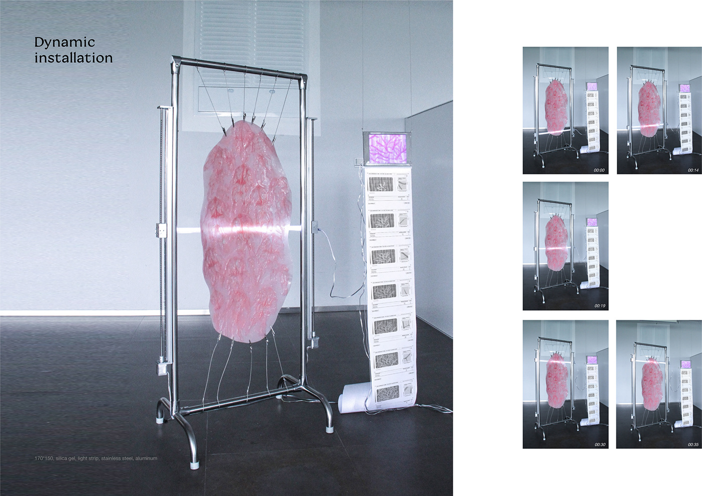 installation motion design video 动态设计 字体设计 影像 装置艺术 装置设计 生物 真菌