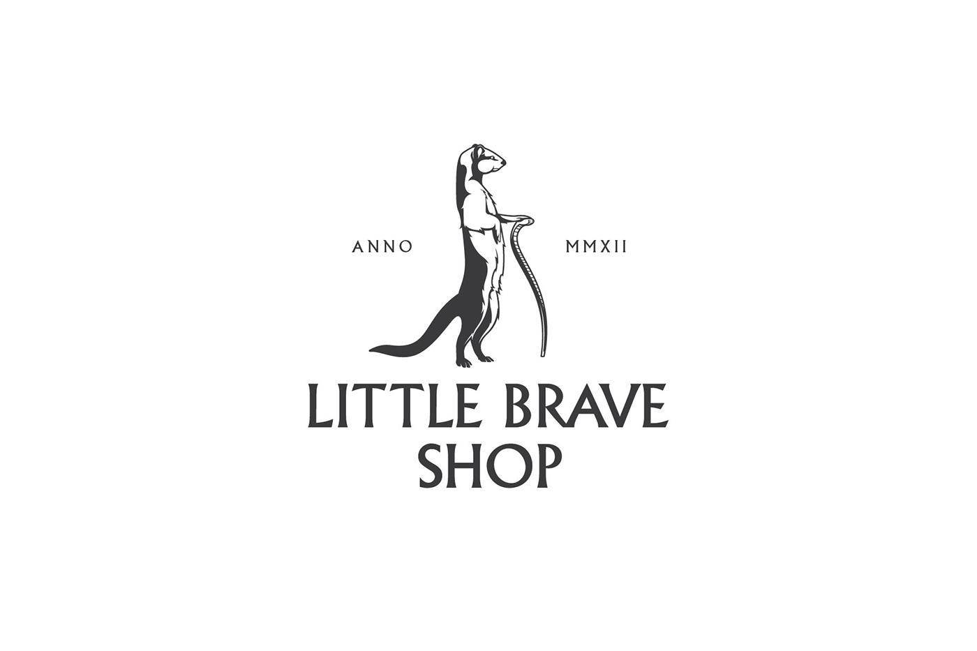 branding  little brave shop Fashion  shop identity