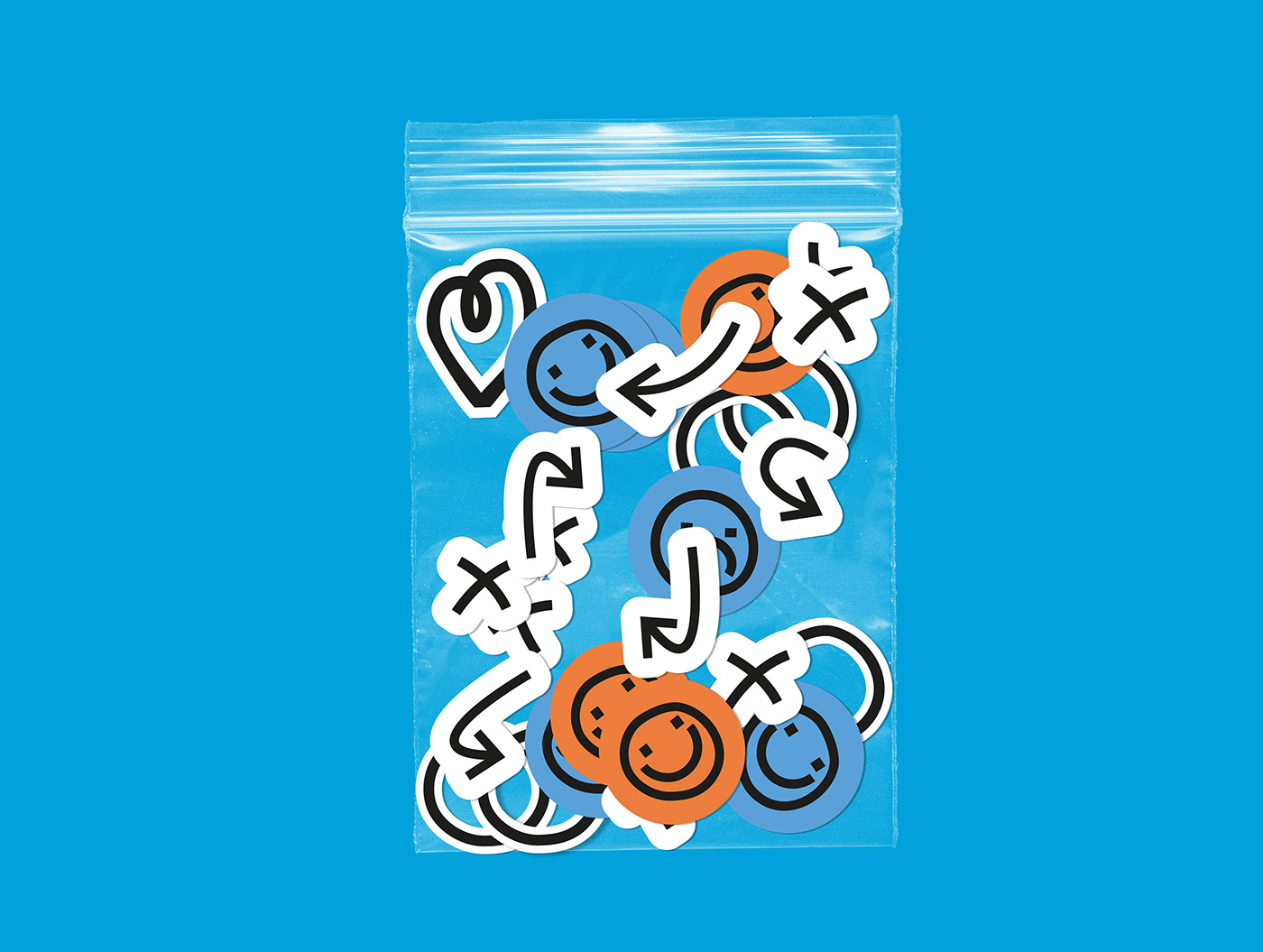 brand identity branding  calendar identity Logo Design Logotype Packaging typography   visual visual identity