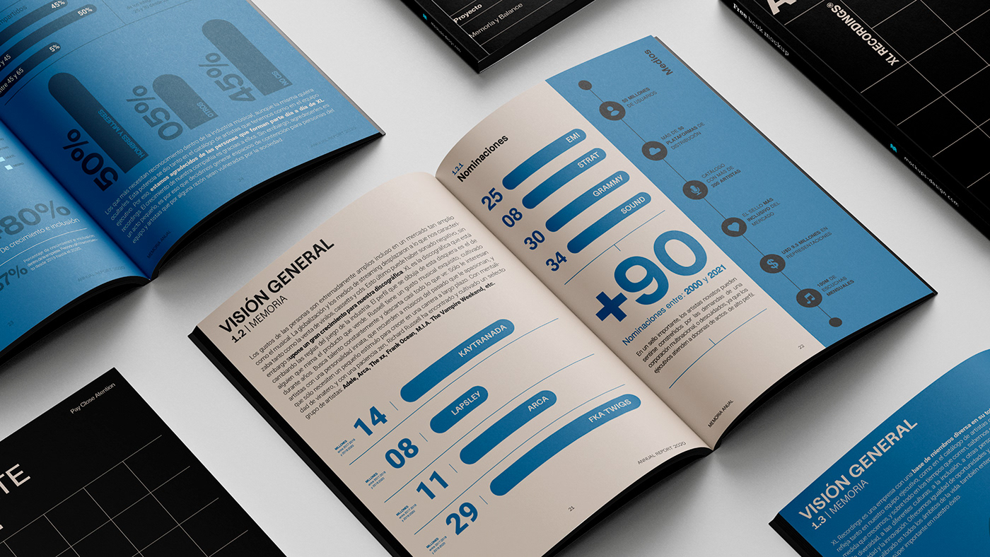 editorial annual report identity infographic typography   brand identity visual adobe illustrator visual identity Social media post