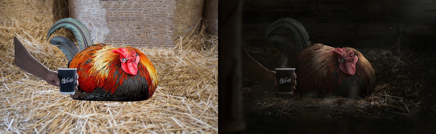retouching  manipulation mccafe McDonalds Rooster creative ad retouch