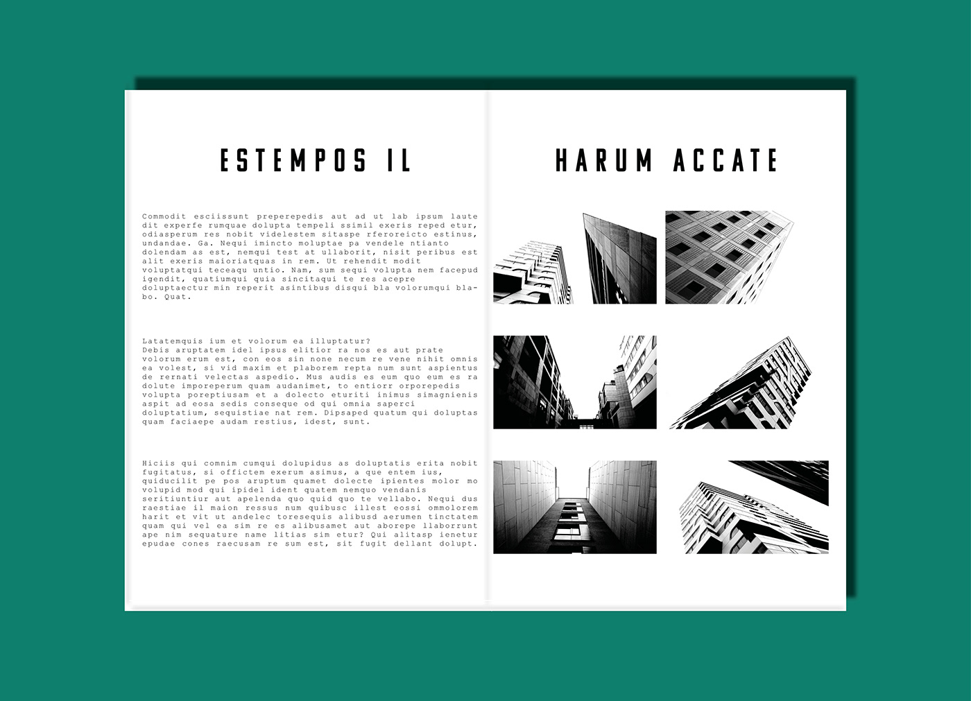 graphicdesign Grafikdesign fotografie Photography  architektur architecture magazine magazin broschure print