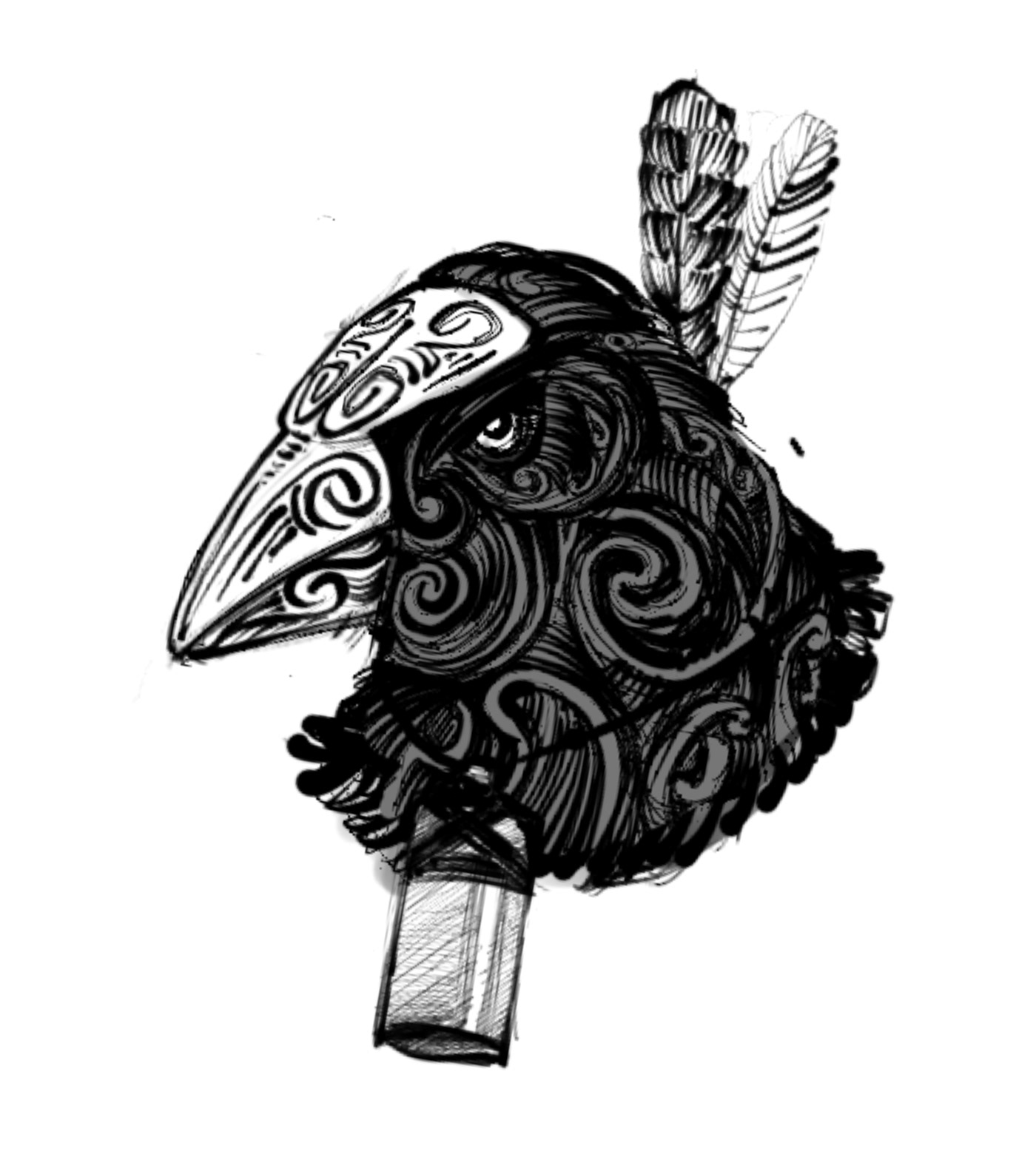 ILLUSTRATION  kiwi witch fairytale Nature New Zealand old fashion vintage skull bird